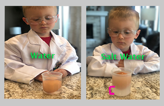side by side photos showing egg floating experiment, left one in plain water sinking and right one in salt water floating